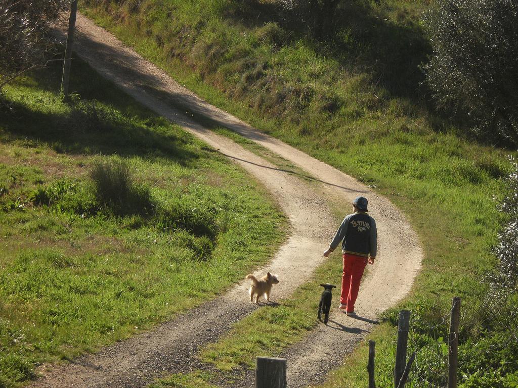 Monte Da Courela Malarranha Bagian luar foto