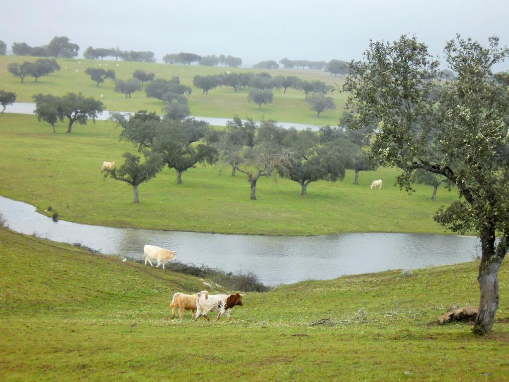 Monte Da Courela Malarranha Bagian luar foto